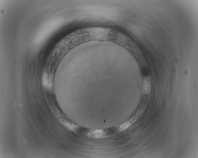 X0000085080431200704021441