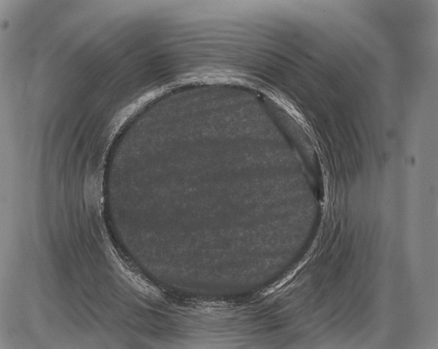 X0000085080438200704021441