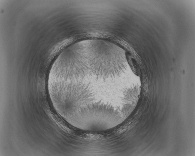 X0000085080442200704021441