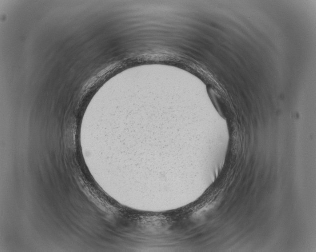 X0000085080446200704021441