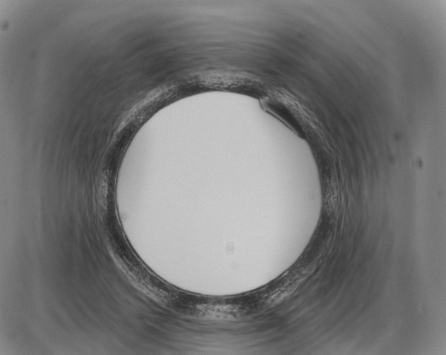 X0000085080448200704021441