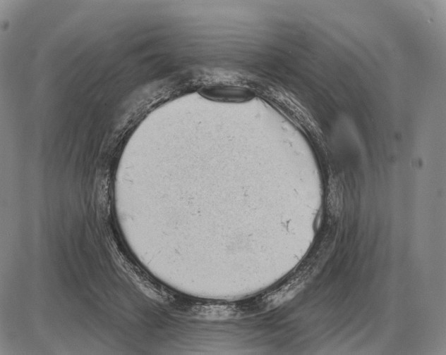X0000085080449200704021441