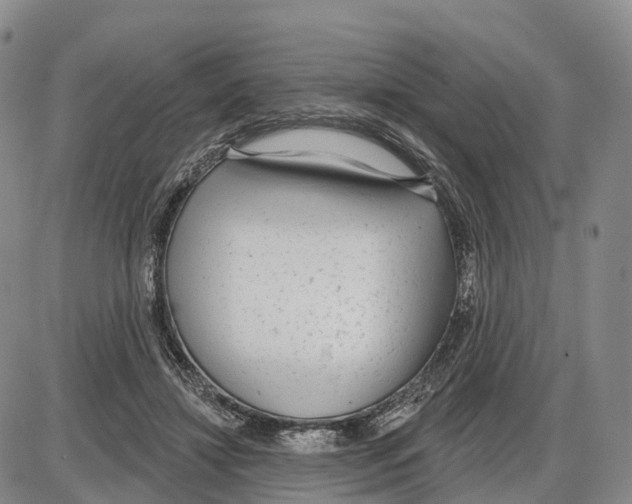 X0000085080452200704021441