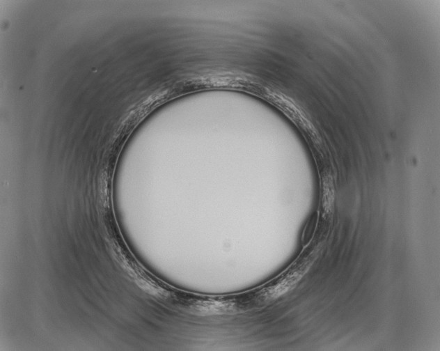 X0000085080453200704021441