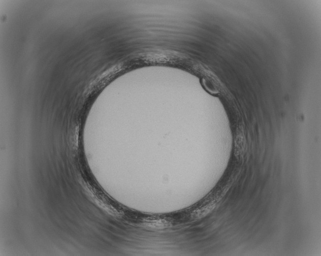 X0000085080454200704021441