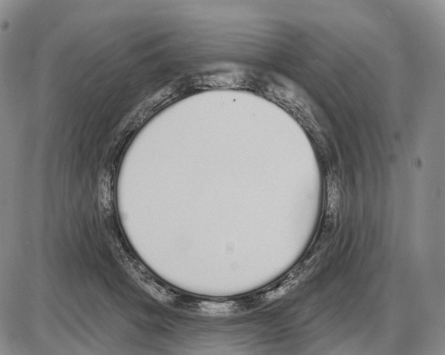 X0000085080457200704021441