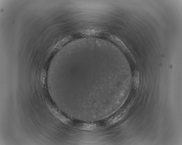 X0000085080458200704021441