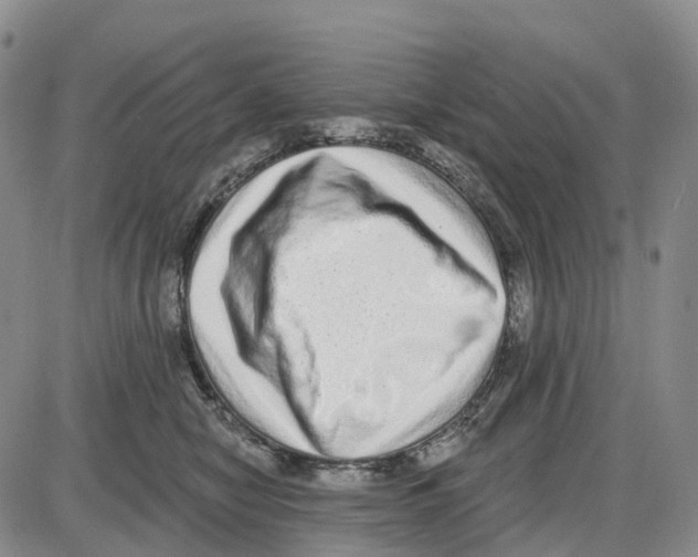 X0000085080470200704021441