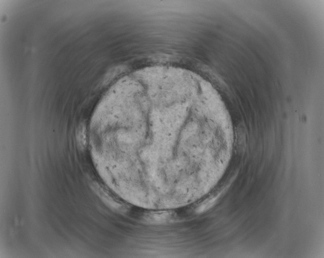 X0000085080479200704021441