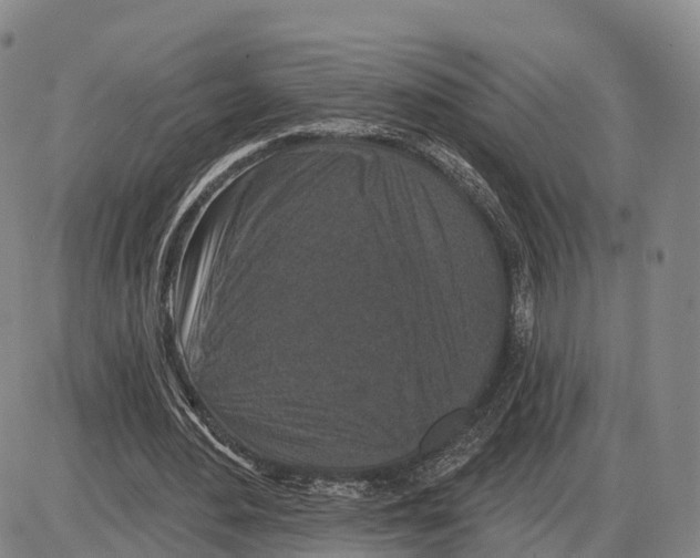 X0000085080484200704021441
