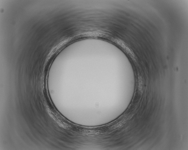 X0000085080486200704021440