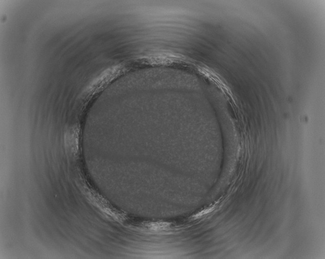 X0000085080501200704021440