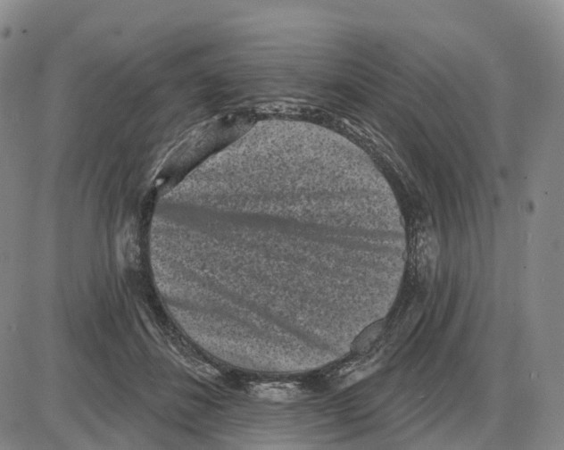X0000085080508200704021440