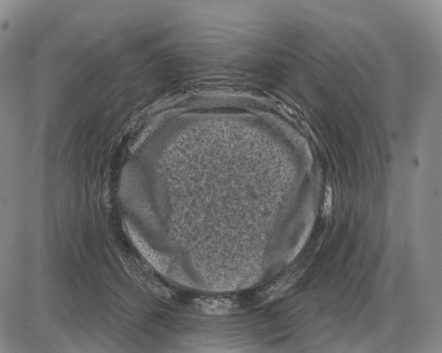 X0000085080512200704021440