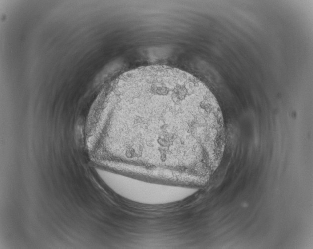 X0000085080527200704021440