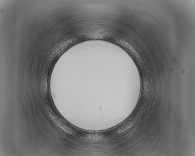 X0000085080541200704021439