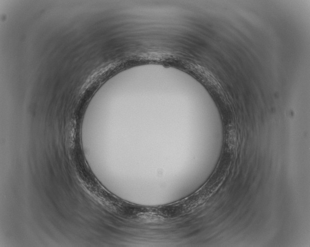 X0000085080544200704021439