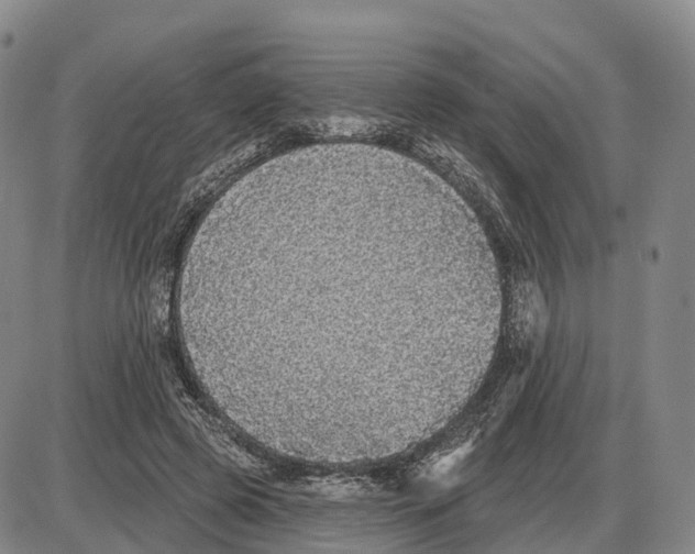 X0000085080545200704021439