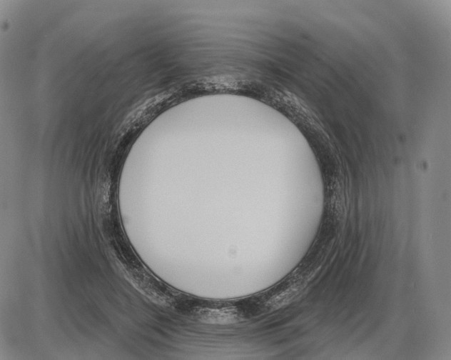 X0000085080548200704021439