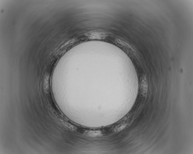 X0000085080554200704021439