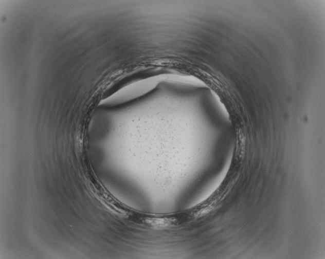 X0000085080558200704021439