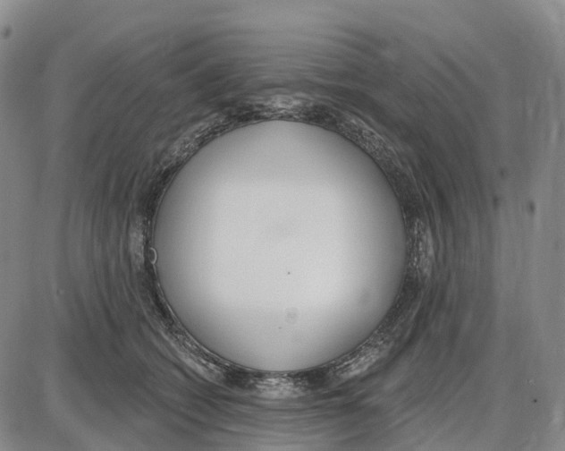 X0000085080562200704021440