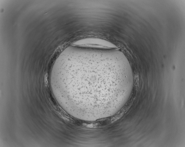 X0000085080564200704021440