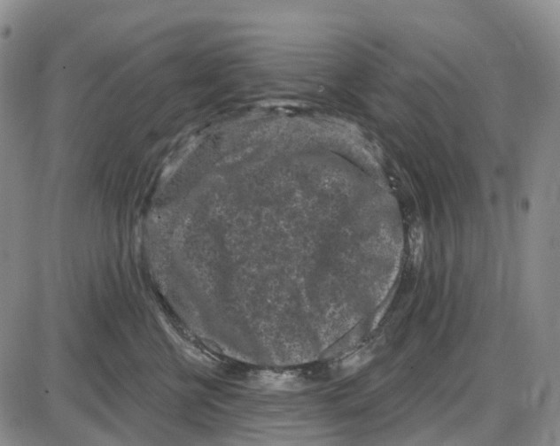 X0000085080570200704021440