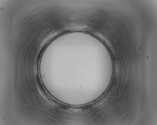 X0000085080582200704021439