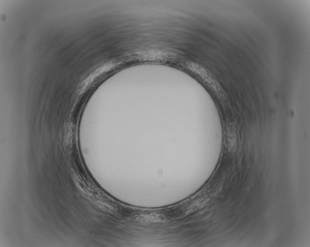 X0000085080583200704021439