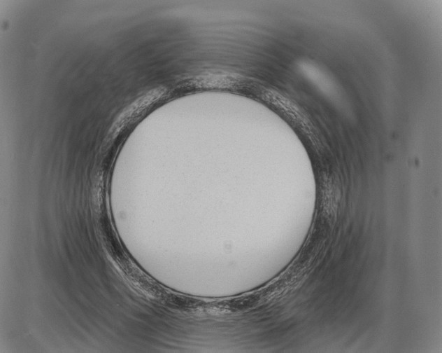 X0000085080586200704021439