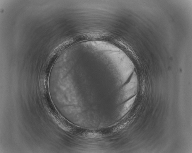 X0000085080590200704021439
