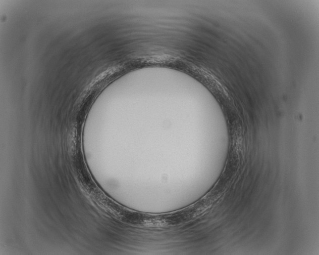 X0000085080591200704021439