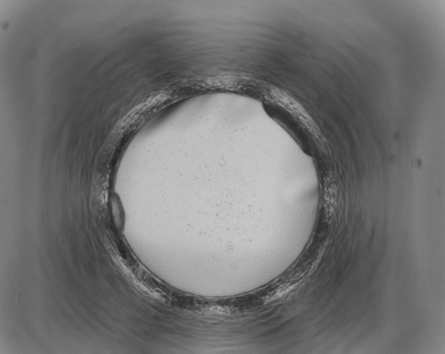 X0000085080593200704021439