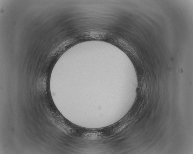 X0000085080595200704021439