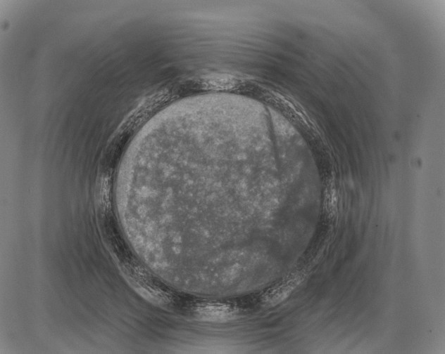 X0000085080598200704021439