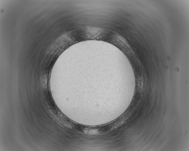 X0000085080602200704021439