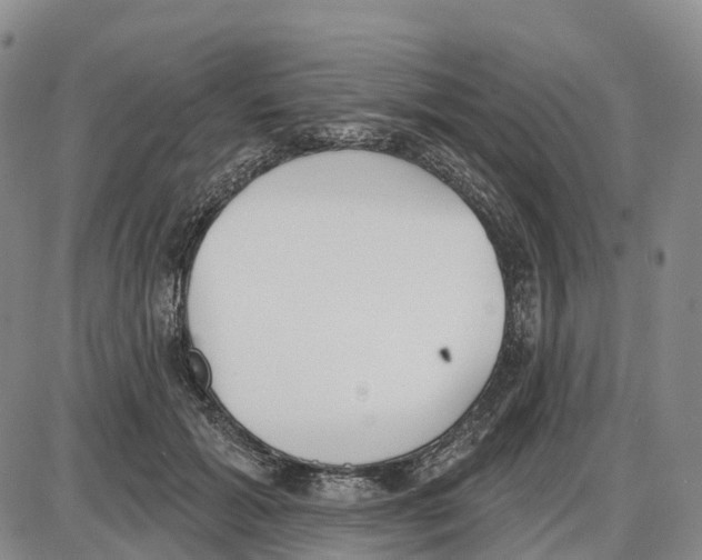 X0000085080605200704021438