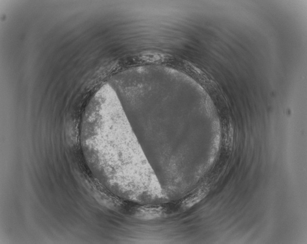 X0000085080606200704021438