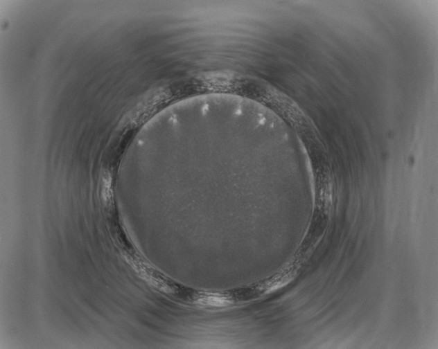 X0000085080610200704021438