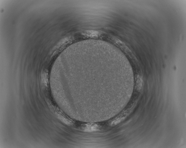 X0000085080612200704021438