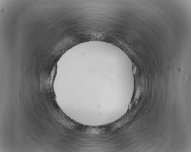 X0000085080613200704021438