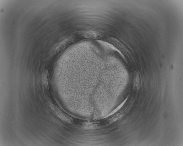 X0000085080616200704021438