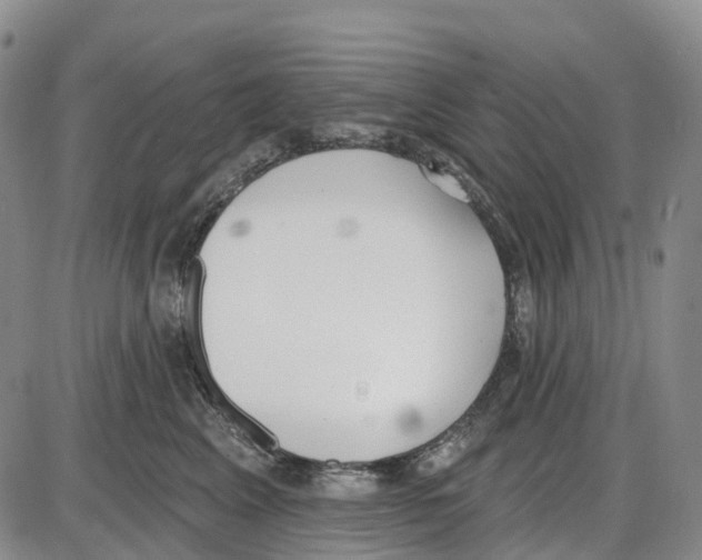 X0000085080617200704021438