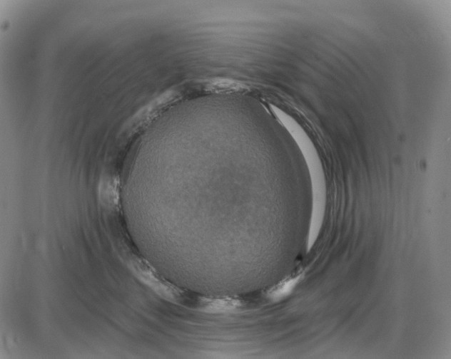 X0000085080621200704021438