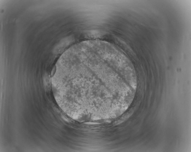 X0000085080624200704021438