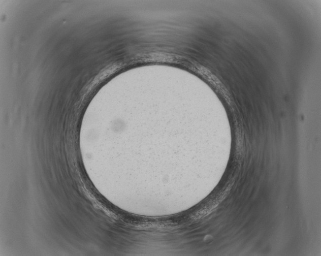 X0000085080625200704021437