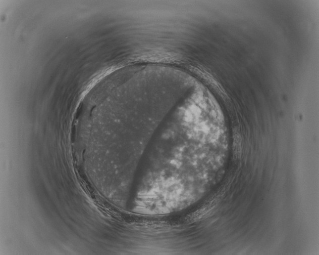 X0000085080626200704021437