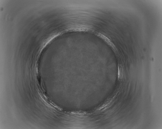 X0000085080627200704021437