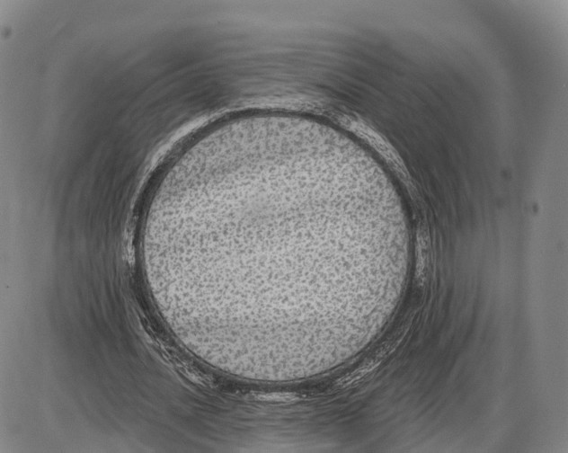 X0000085080628200704021437